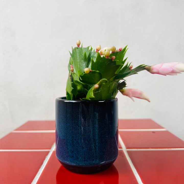 Reactive Glaze Mini Pot – 6cm