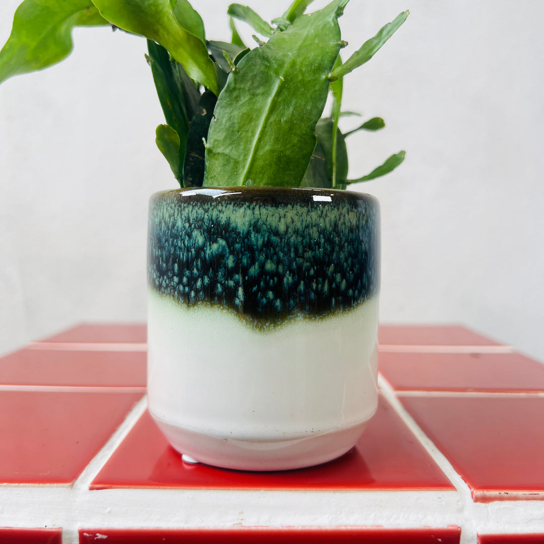 Reactive Glaze Mini Pot – 6cm