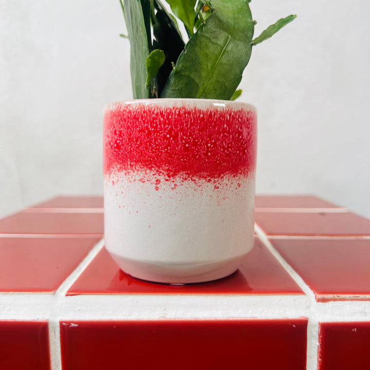 Reactive Glaze Mini Pot – 6cm