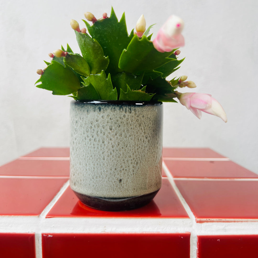 Reactive Glaze Mini Pot – 6cm