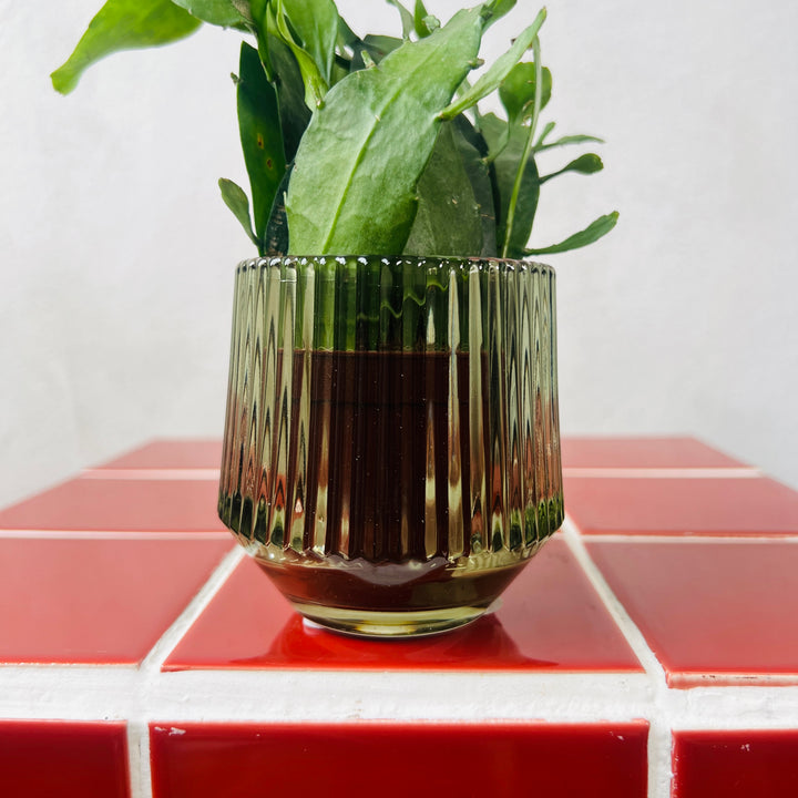 Ribbed Glass Pot – 6cm