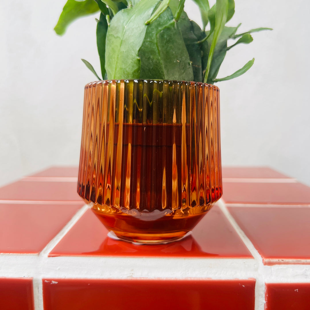 Ribbed Glass Pot – 6cm