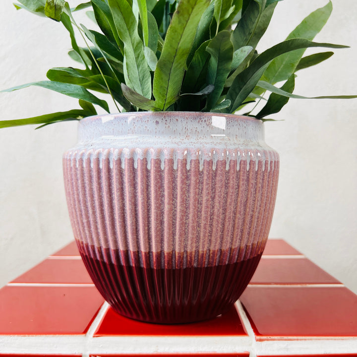 Ribbed Ceramic Pot – 12cm