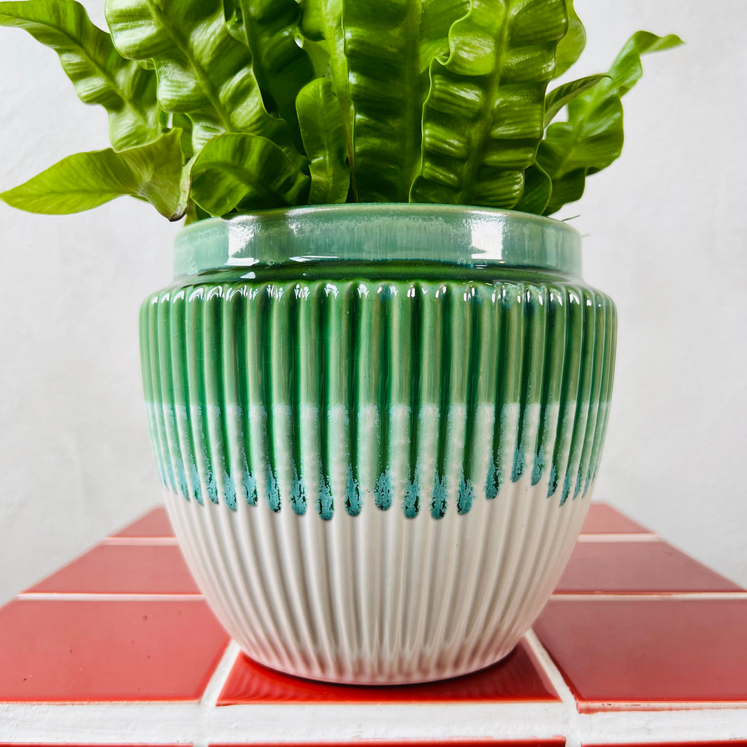 Ribbed Ceramic Pot – 12cm
