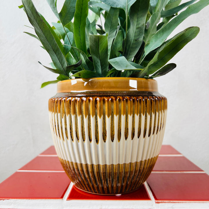 Ribbed Ceramic Pot – 12cm