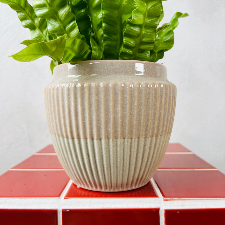 Ribbed Ceramic Pot – 12cm