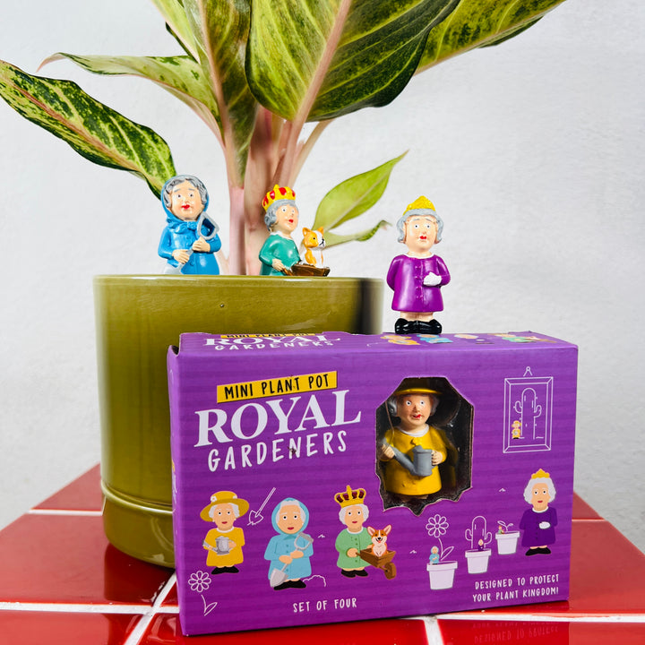 Mini Plant Pot Royal Gardeners