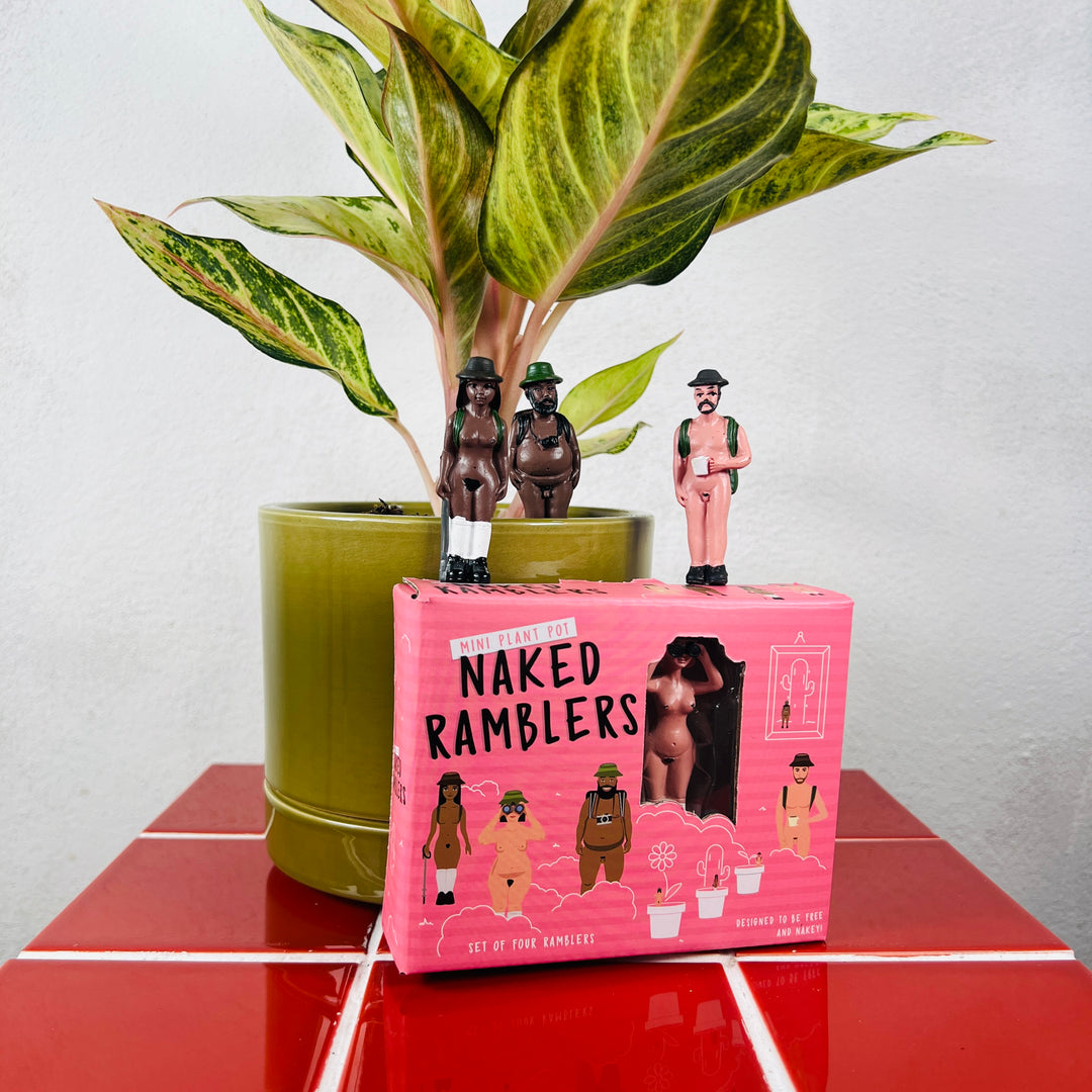 Mini Plant Pot – Naked Ramblers (Set of 4)