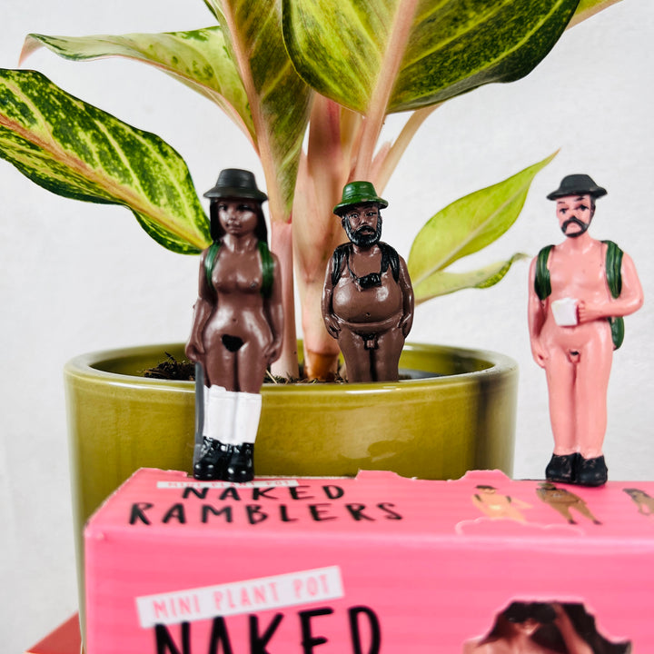 Mini Plant Pot – Naked Ramblers (Set of 4)