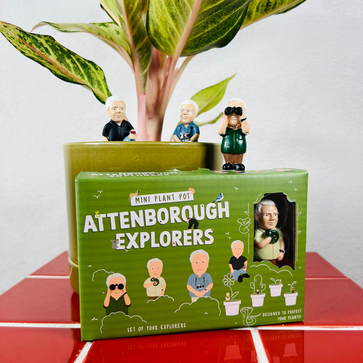 Mini Plant Pot – Attenborough Explorers (Set of 4)