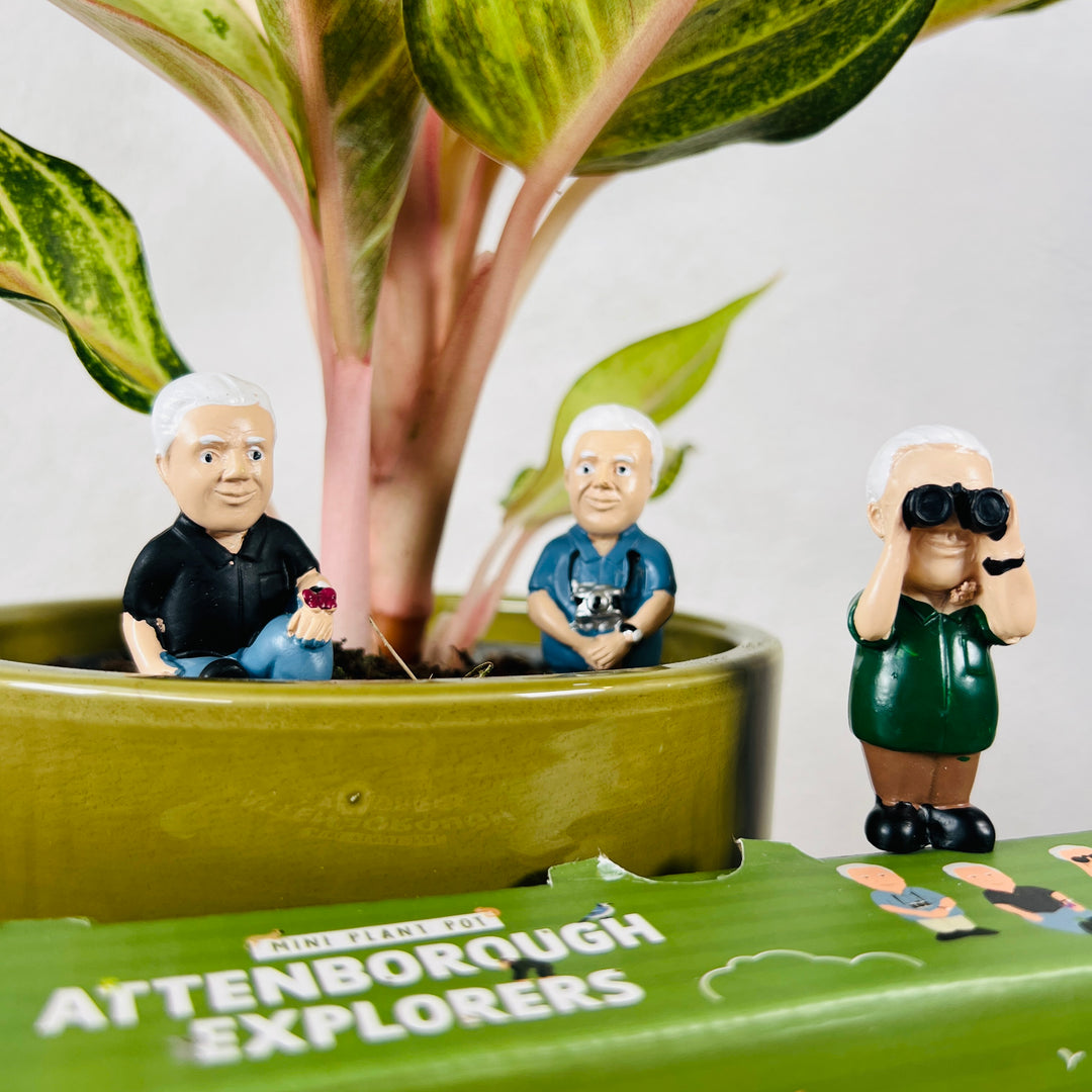 plant pot figures Mini Plant Pot Attenborough Explorers – Set of 4
