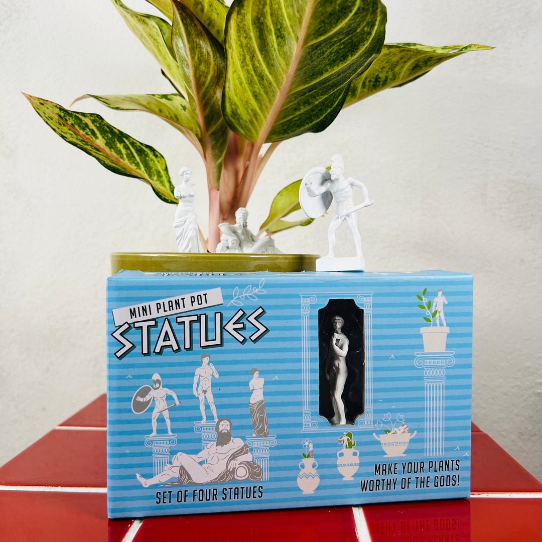 Mini Plant Pot – Statues (Set of 4)