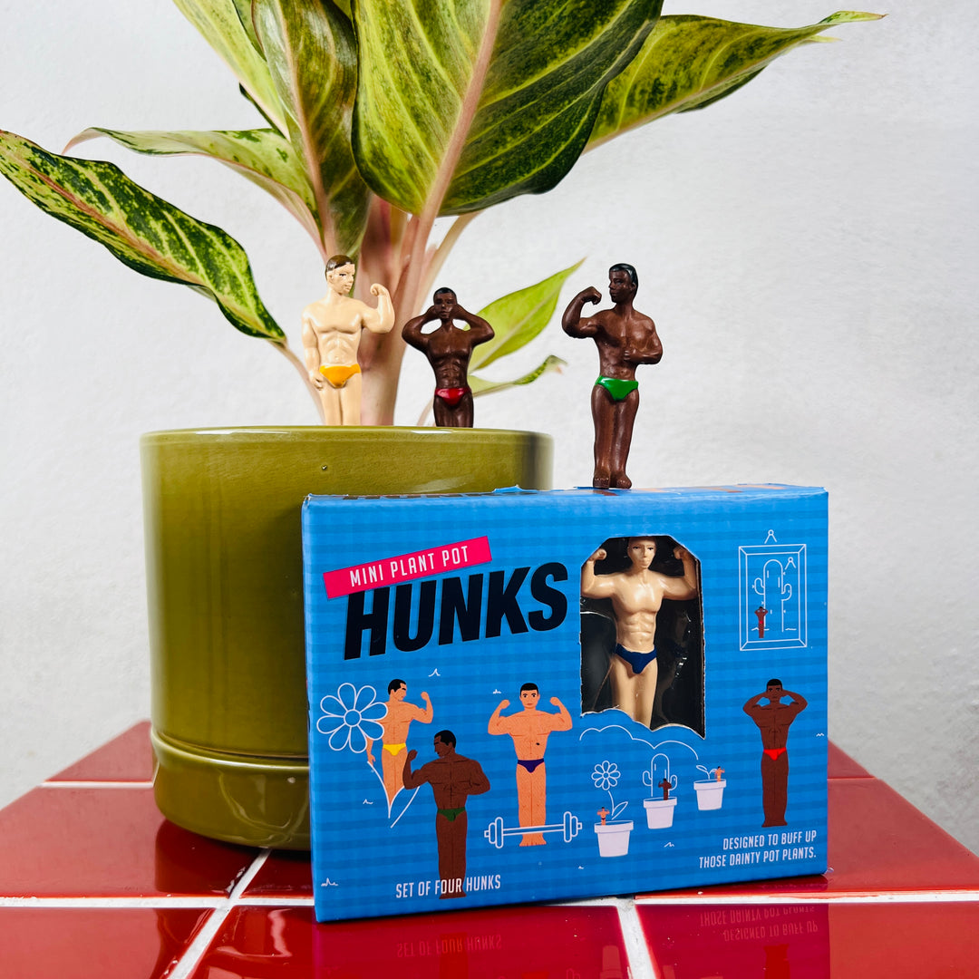 Mini Plant Pot – Hunks (Set of 4)