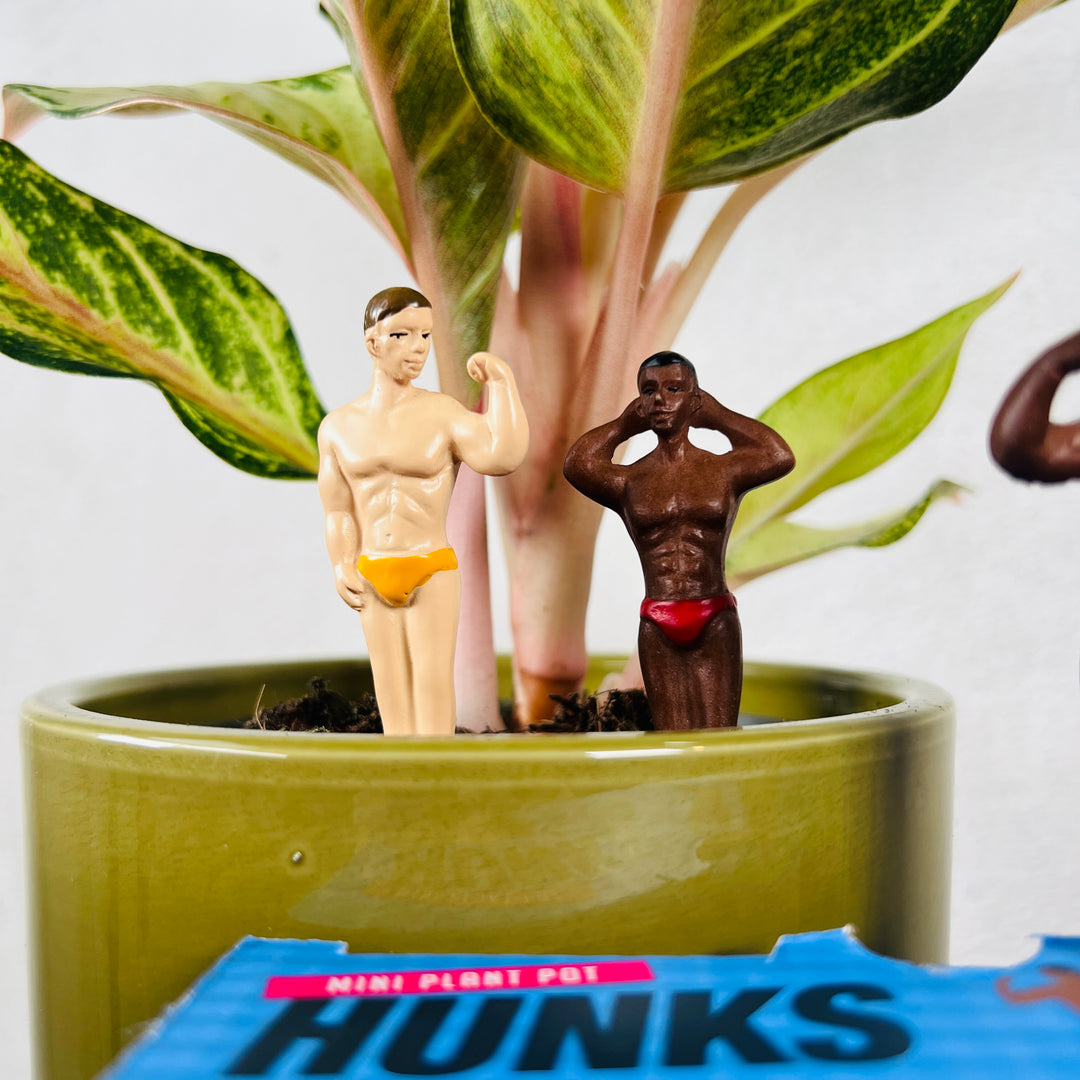 Mini Plant Pot – Hunks (Set of 4)