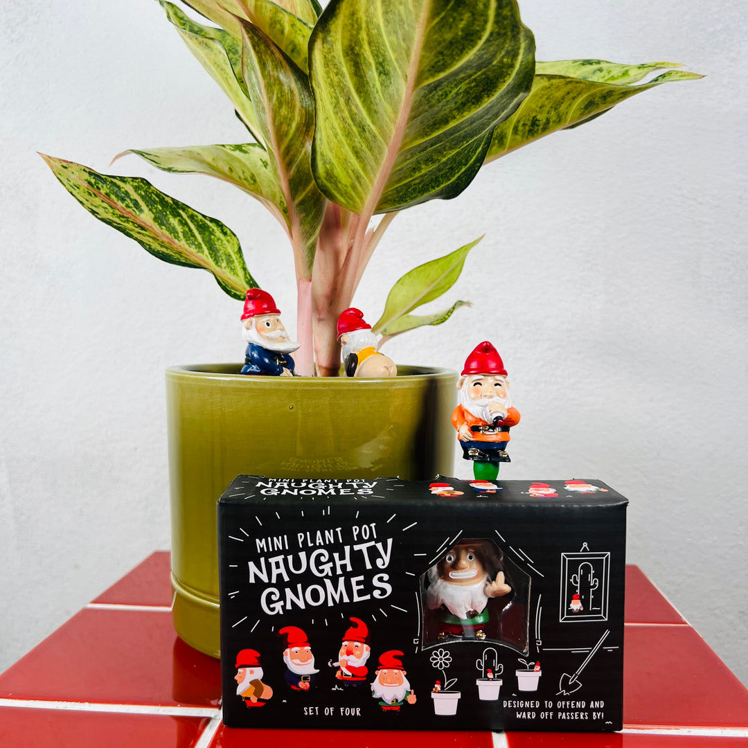 Mini Plant Pot – Naughty Gnomes (Set of 4)