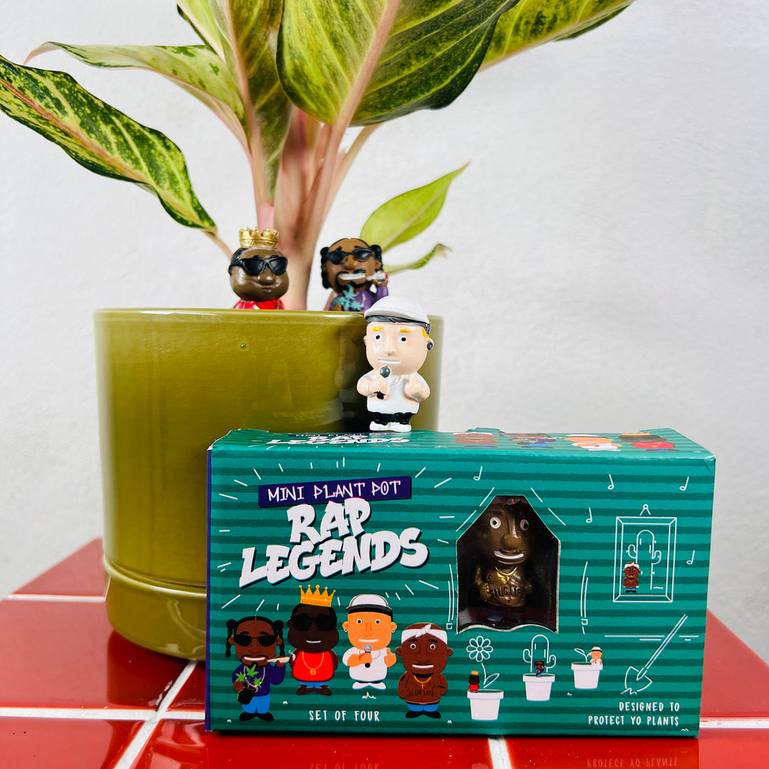 iv plant pot Mini Plant Pot Rap Legends – Set of 4