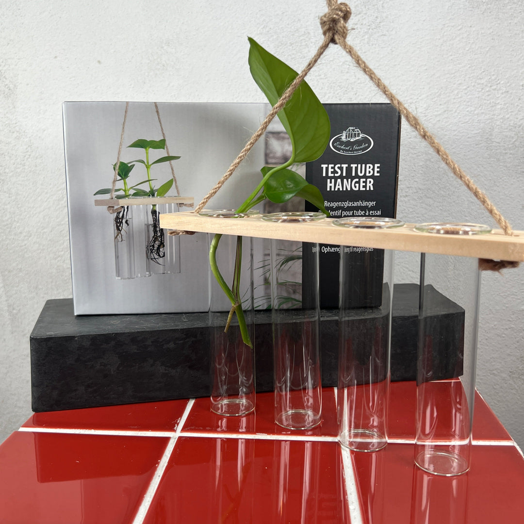 Hanging Test Tube Propagation Station – Small (FSC® Certified)  Description: