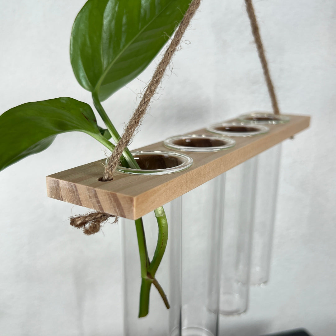 Hanging Test Tube Propagation Station – Small (FSC® Certified)  Description: