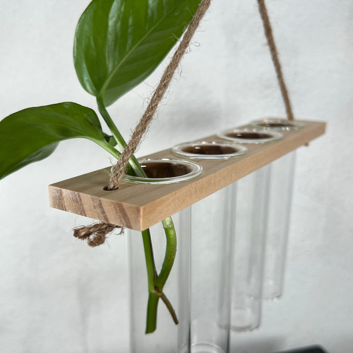 Hanging Test Tube Propagation Station – Small (FSC® Certified)  Description: