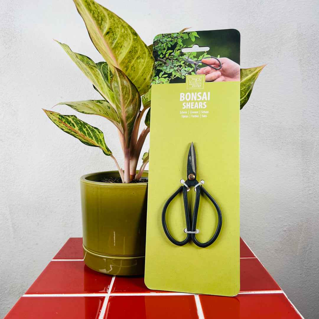 Bonsai Shears – Small Carbon Steel