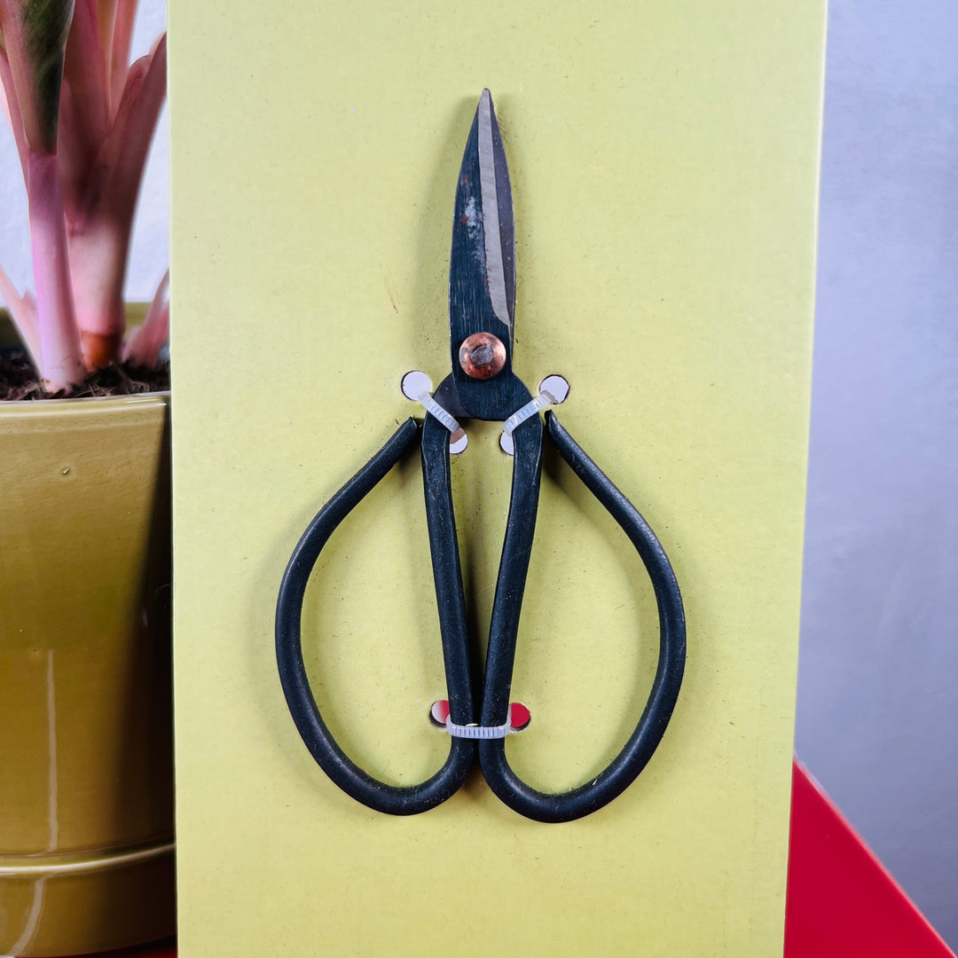 Bonsai Shears – Small Carbon Steel