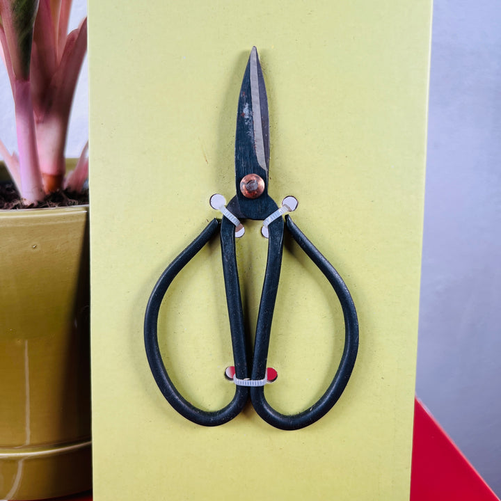 Bonsai Shears – Small Carbon Steel