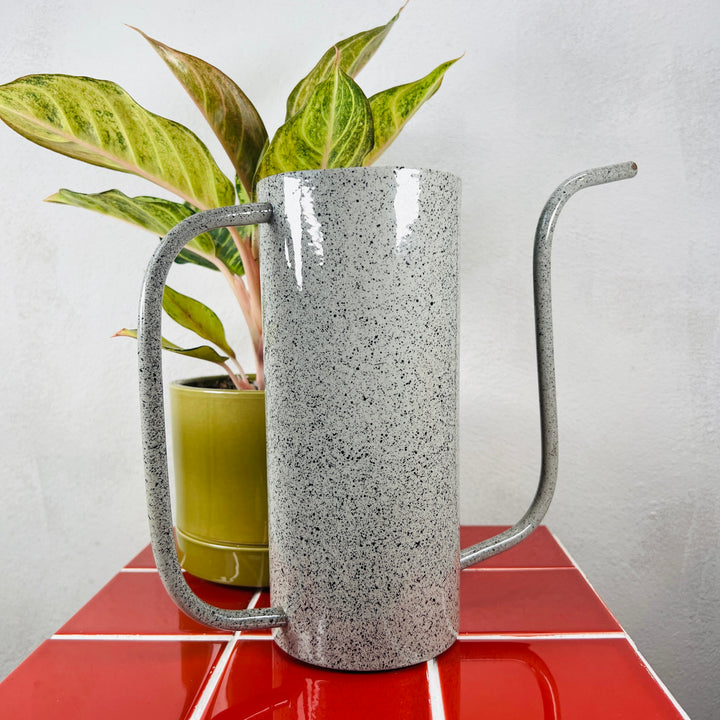 Zink speckle watering can
