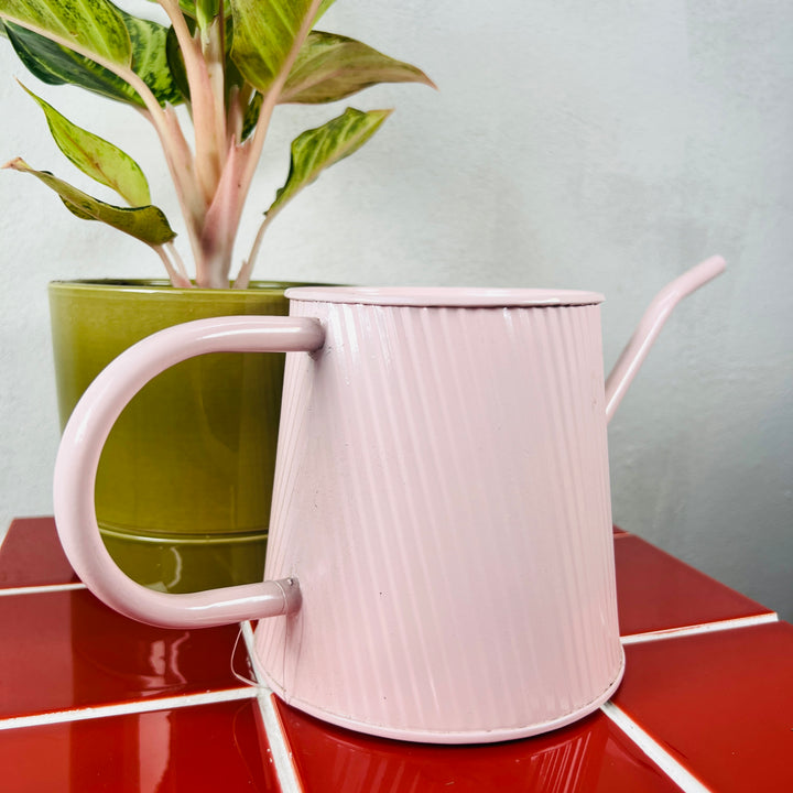 Round Zink watering can