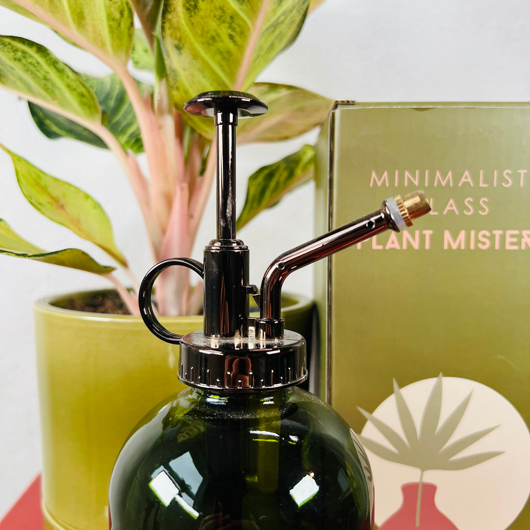 Minimalist Plant Mister