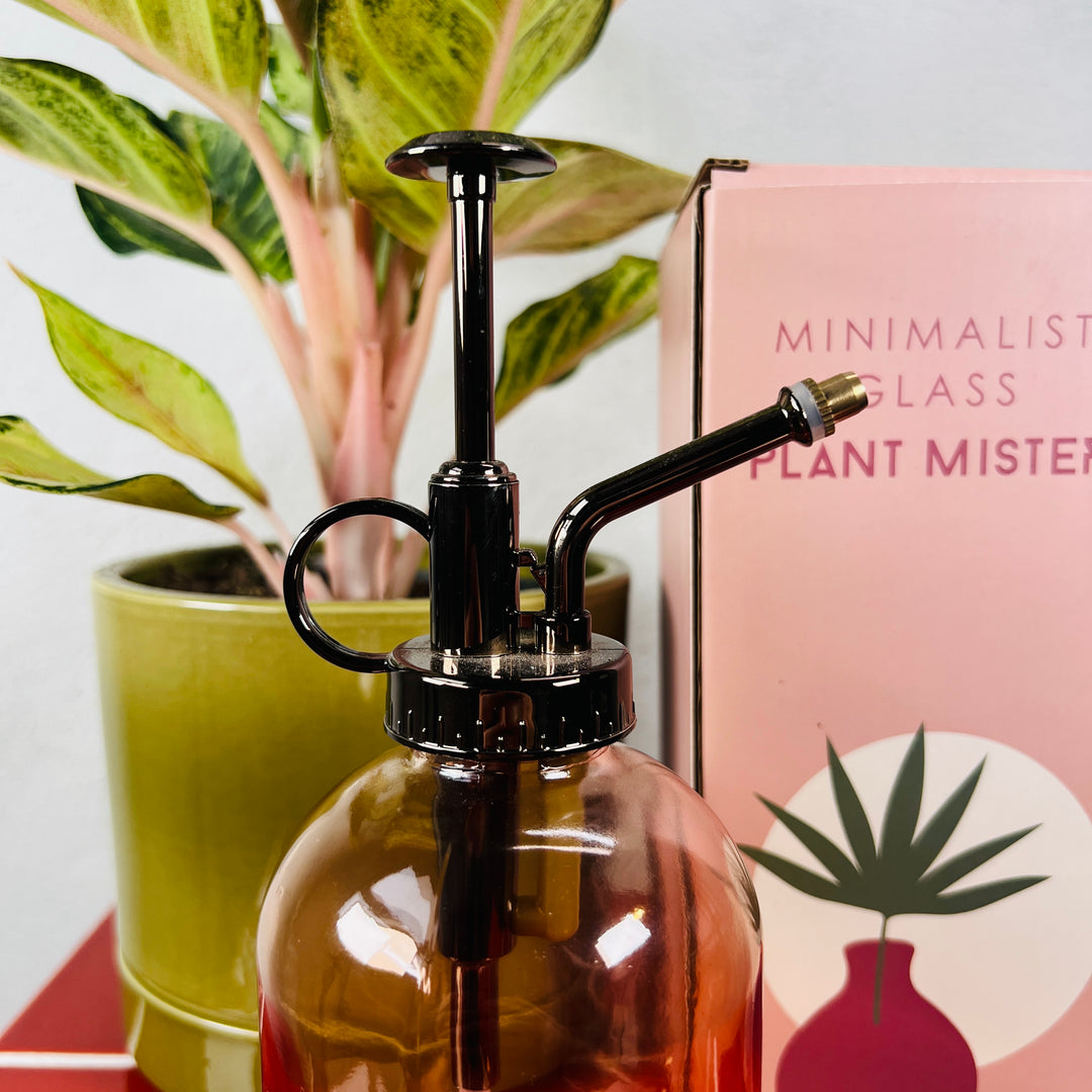Minimalist Plant Mister