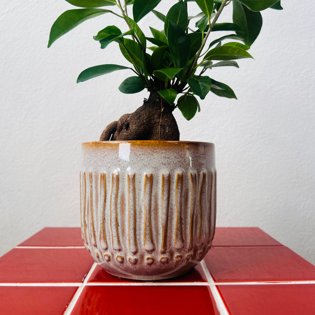 Ruuby Pot – Textured Stone & Caramel Ceramic Planter (Two Sizes)