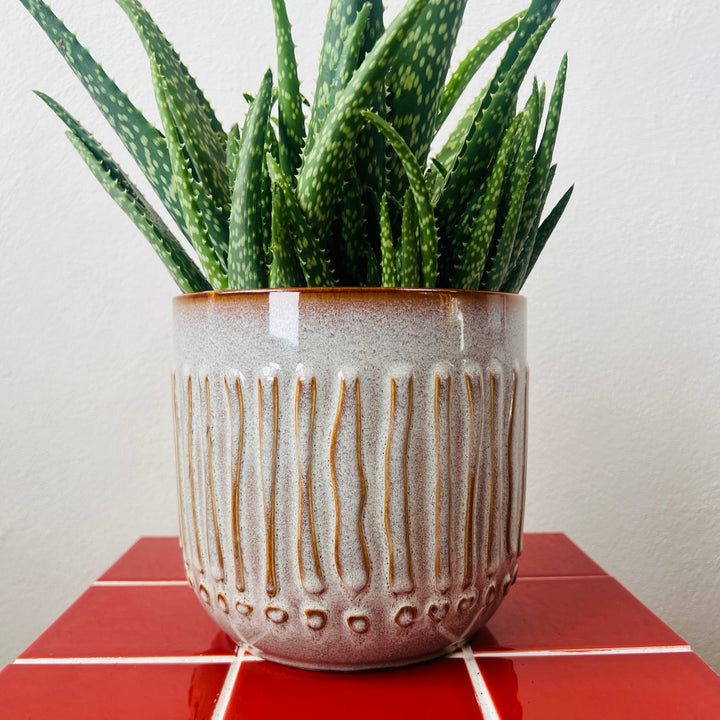 Ruuby Pot – Textured Stone & Caramel Ceramic Planter (Two Sizes)