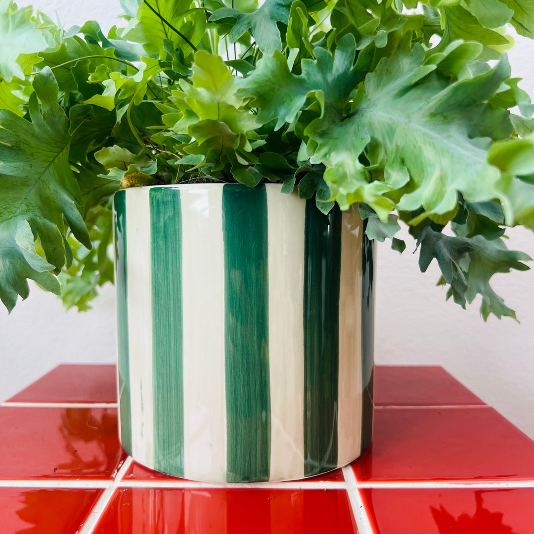 Cylinder Circus Pot Green