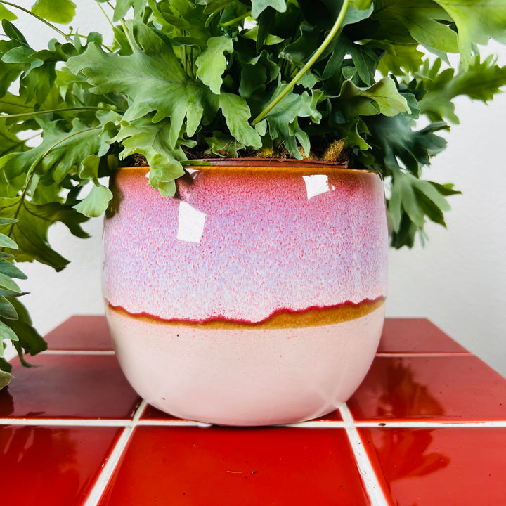 dipped plant pot Dipped Glaze Ceramic Pot Lucky Dip – 12cm