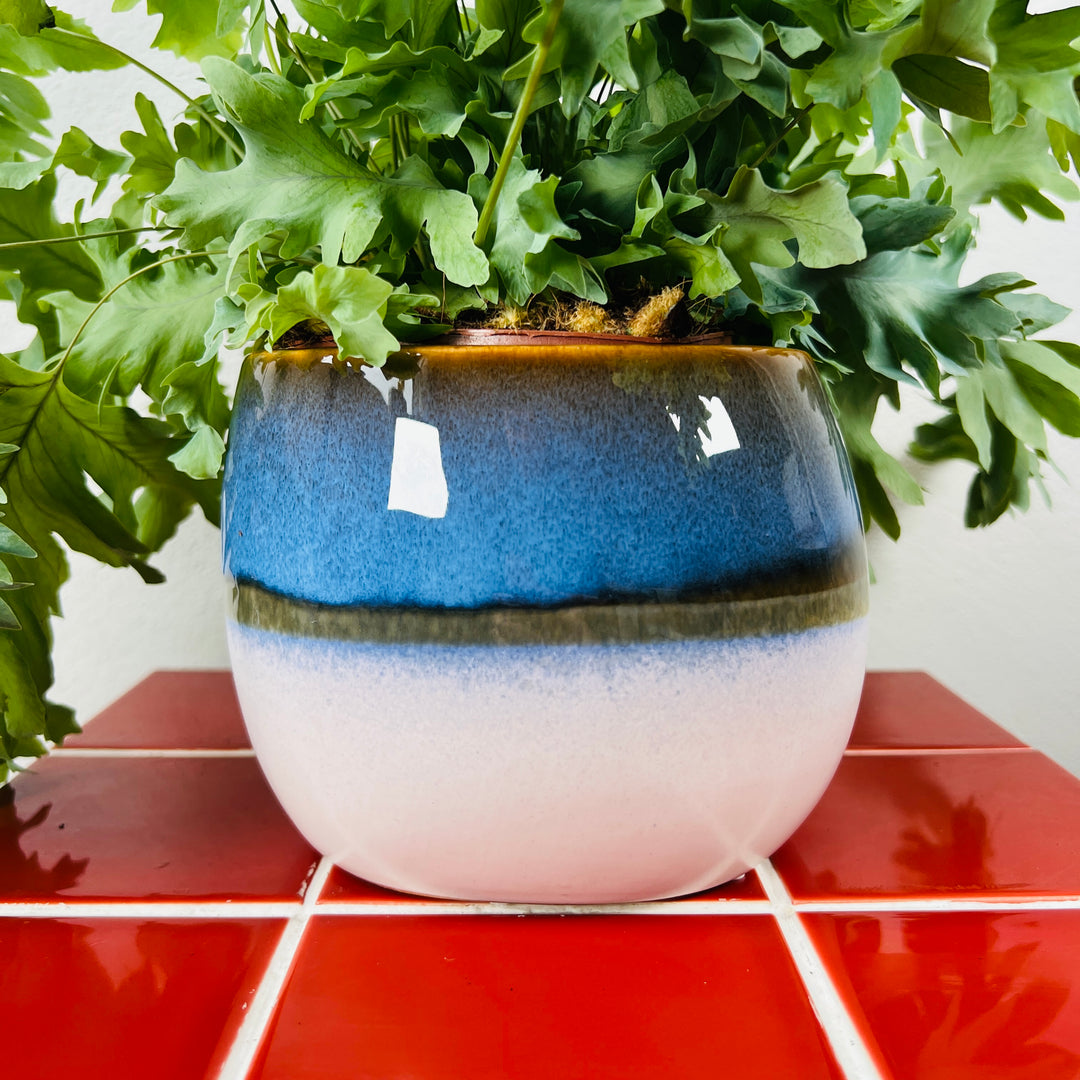 Dipped Glaze Ceramic Pot Lucky Dip – 12cm | Modern Colour-Wash Plant Pot