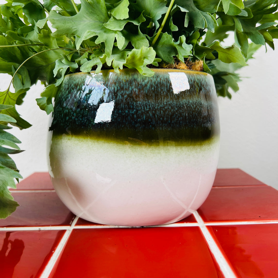 Dipped Glaze Ceramic Pot Lucky Dip – 12cm | Modern Colour-Wash Plant Pot
