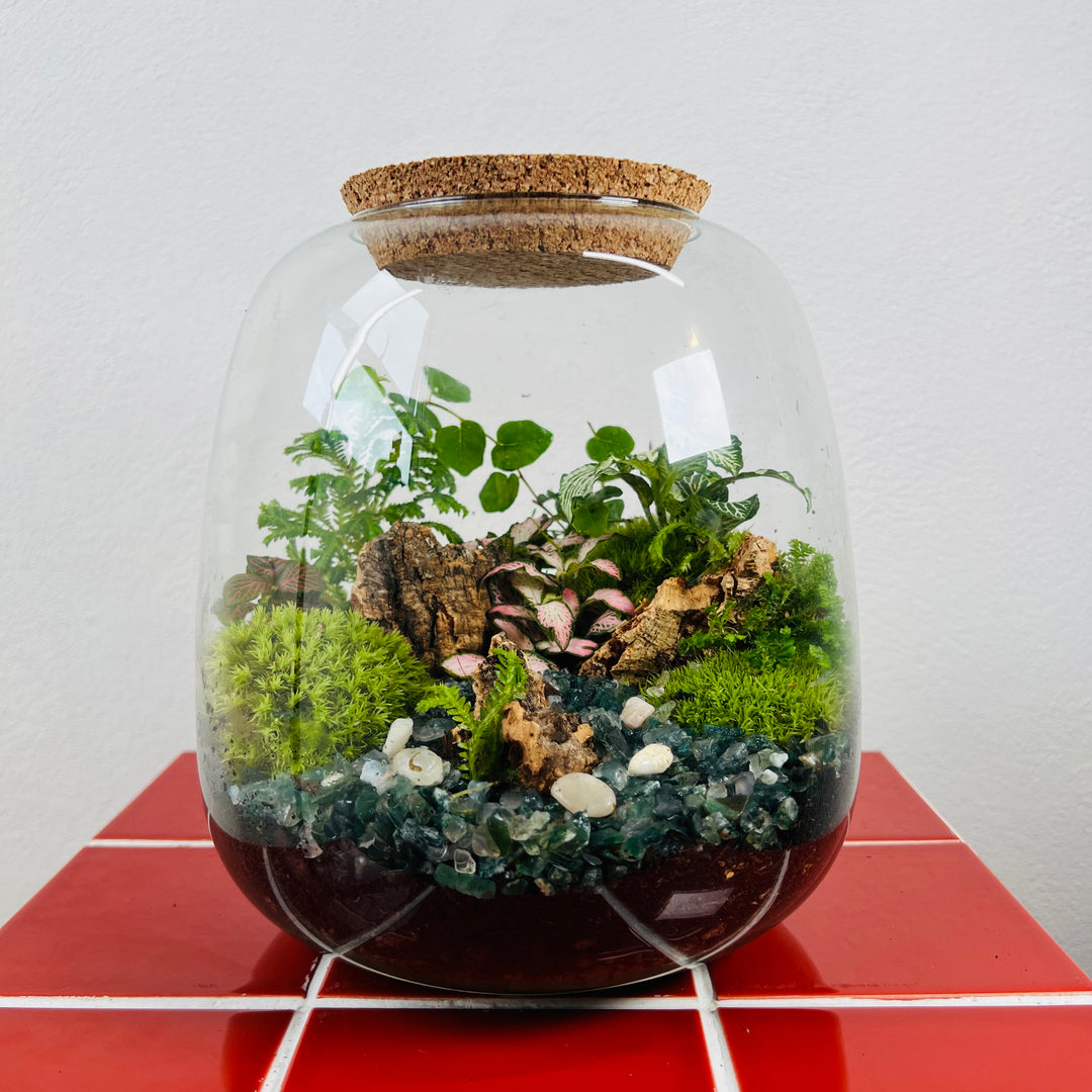 Plant.Studio 'Lands End' Terrarium