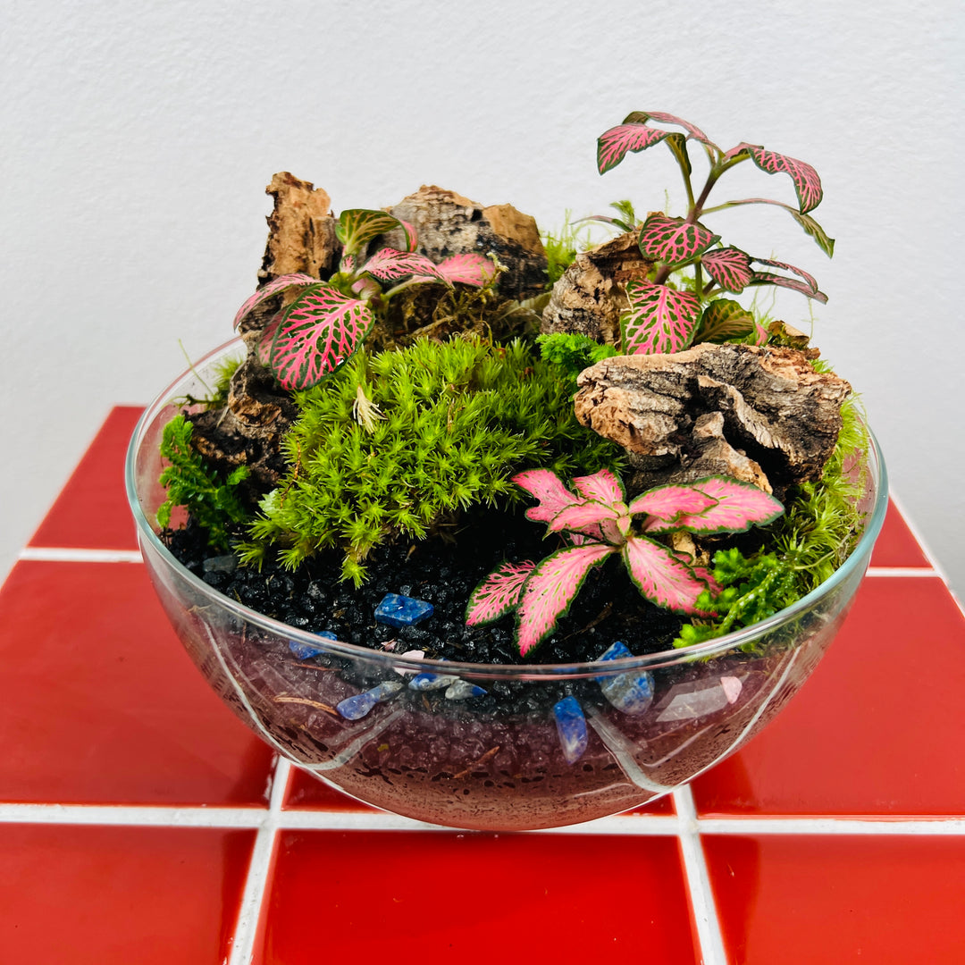 Plant.Studio Terrarium 'Bio-dome'