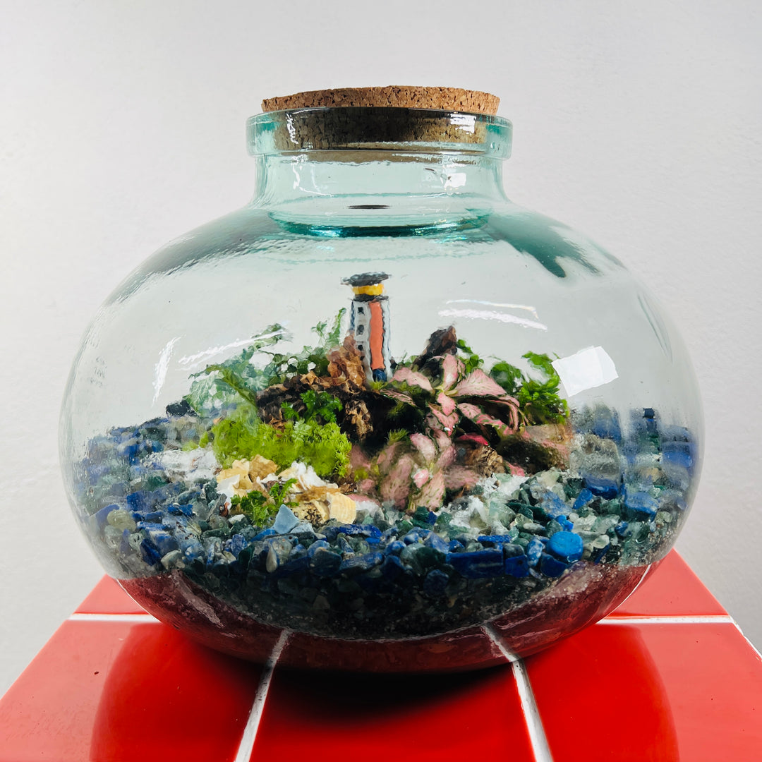 Plant.Studio 'Land's End' Terrarium