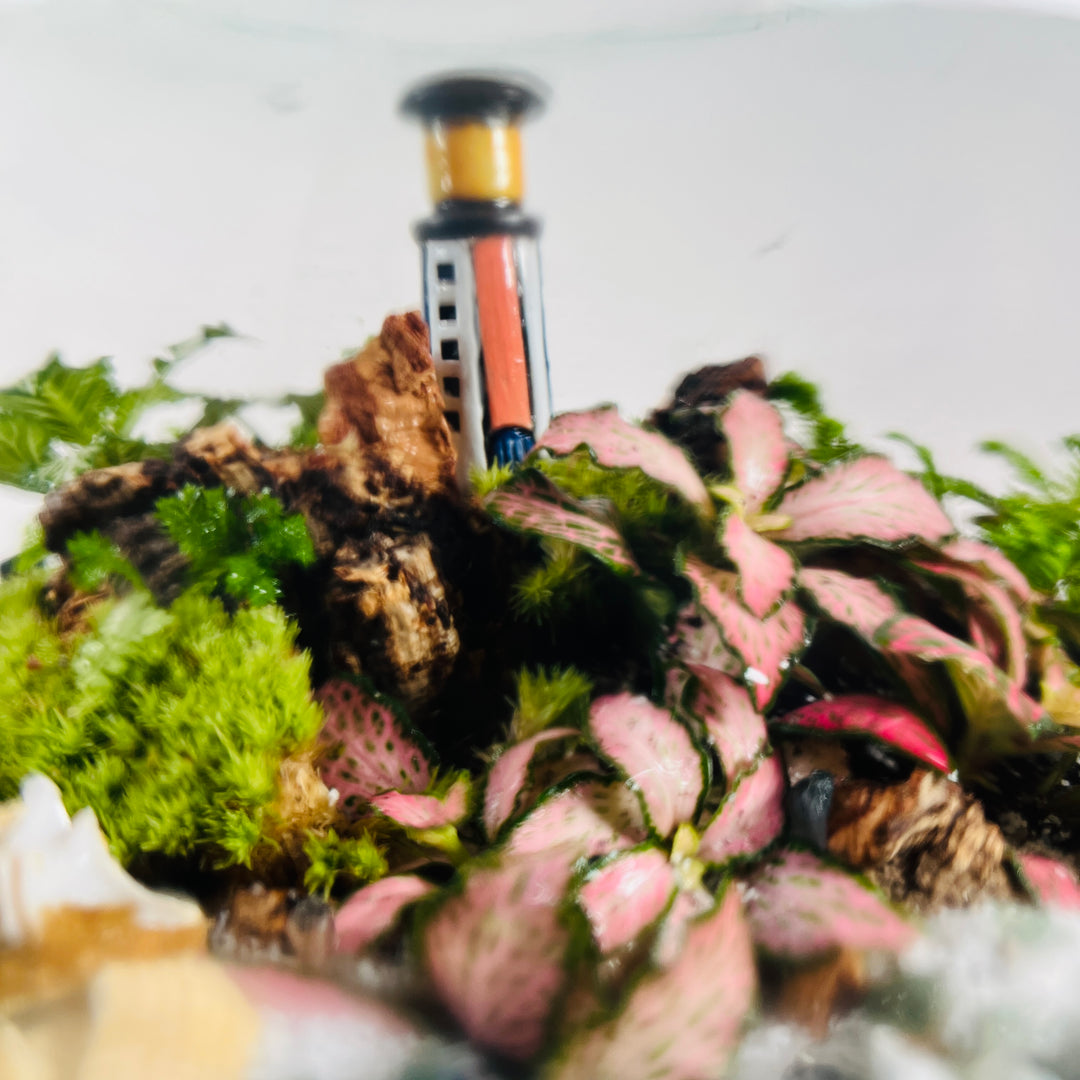 Plant.Studio 'Land's End' Terrarium