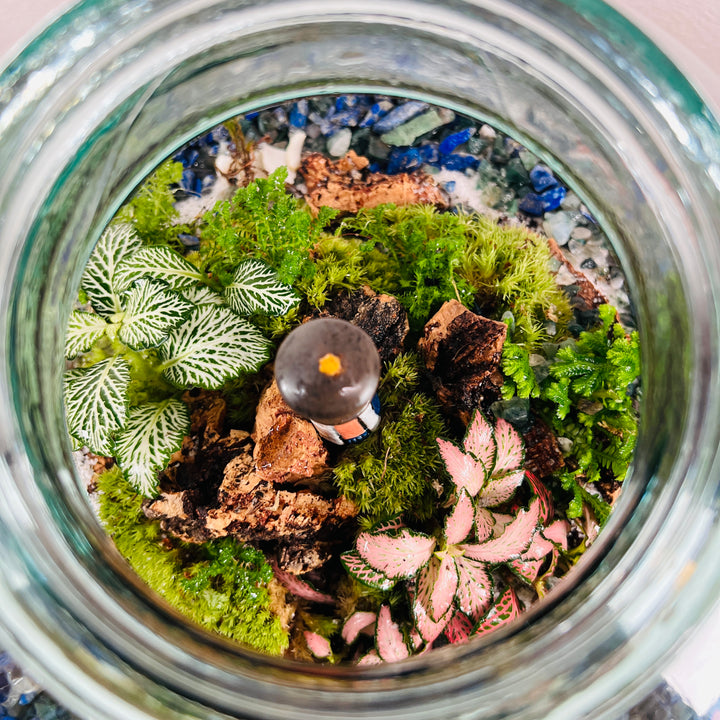 Plant.Studio 'Land's End' Terrarium