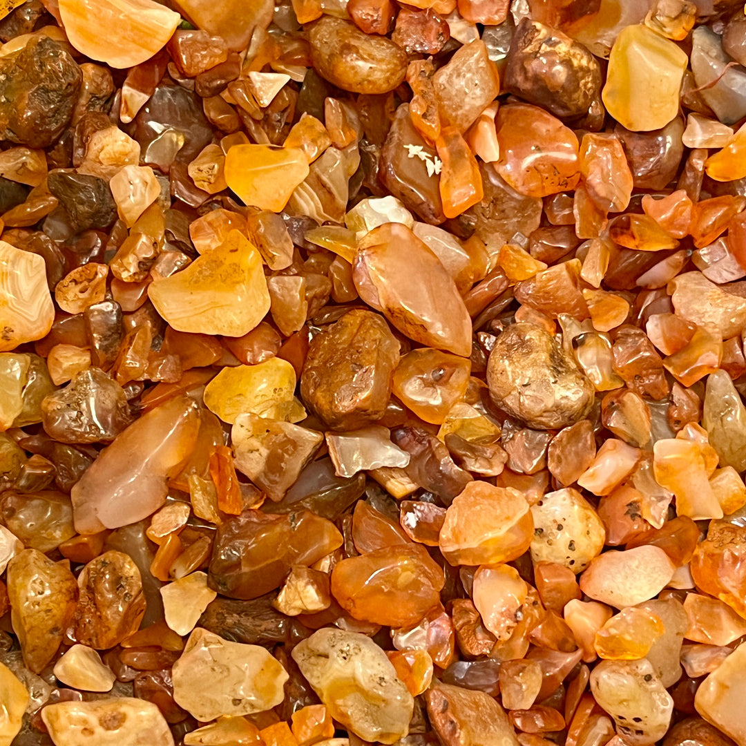 Plant Crystals-100 grams Carnelian
