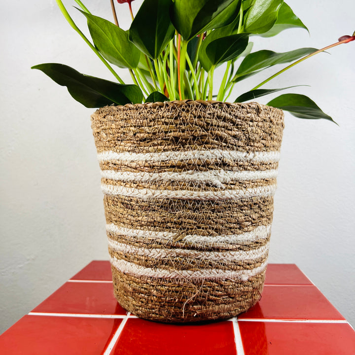 Conical Woven Pot – Natural