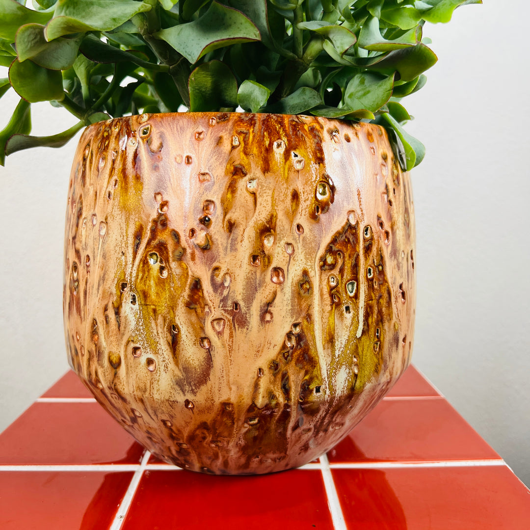 Harris Yellow Pot – Textured Ceramic Planter