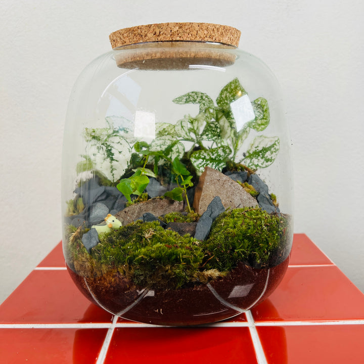 Plant.Studio 'Mountaineer' Terrarium