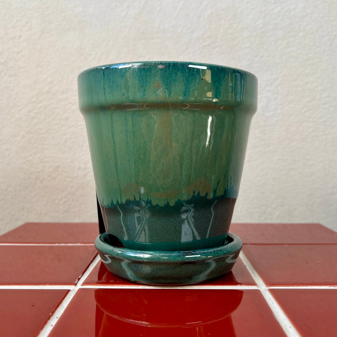 Madrid Pot – Mustard, Pink or Green | D11.5 × H11.5 cm