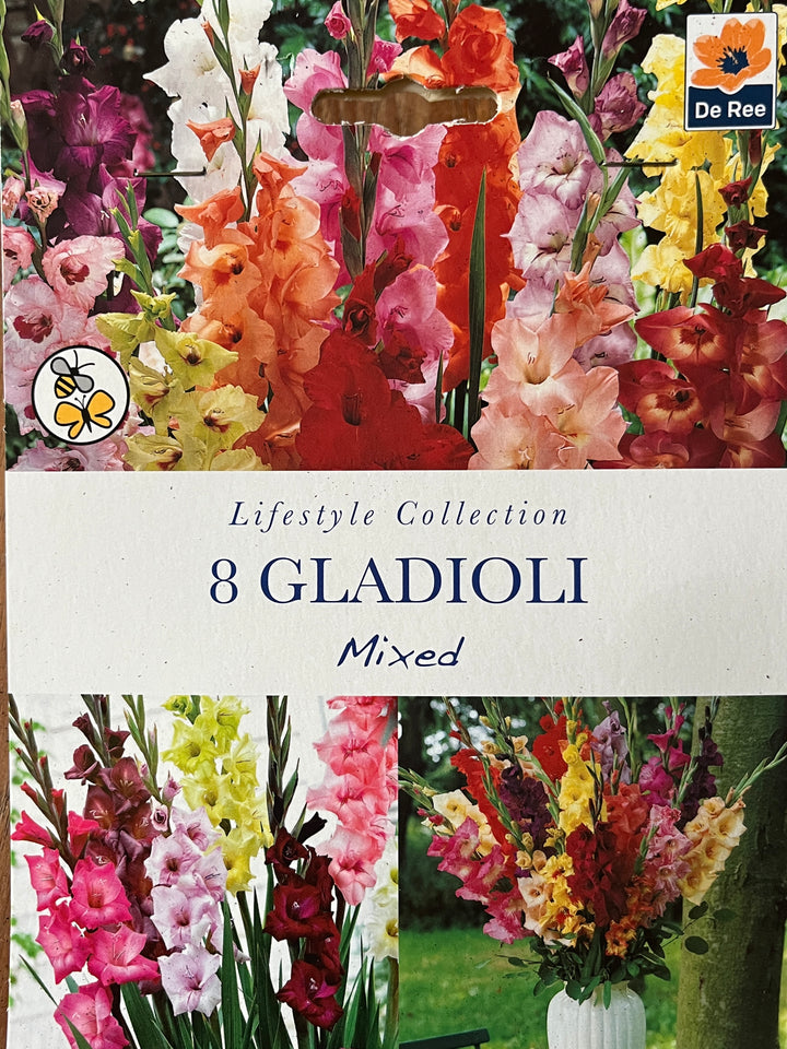 Summer Perennial Bulbs