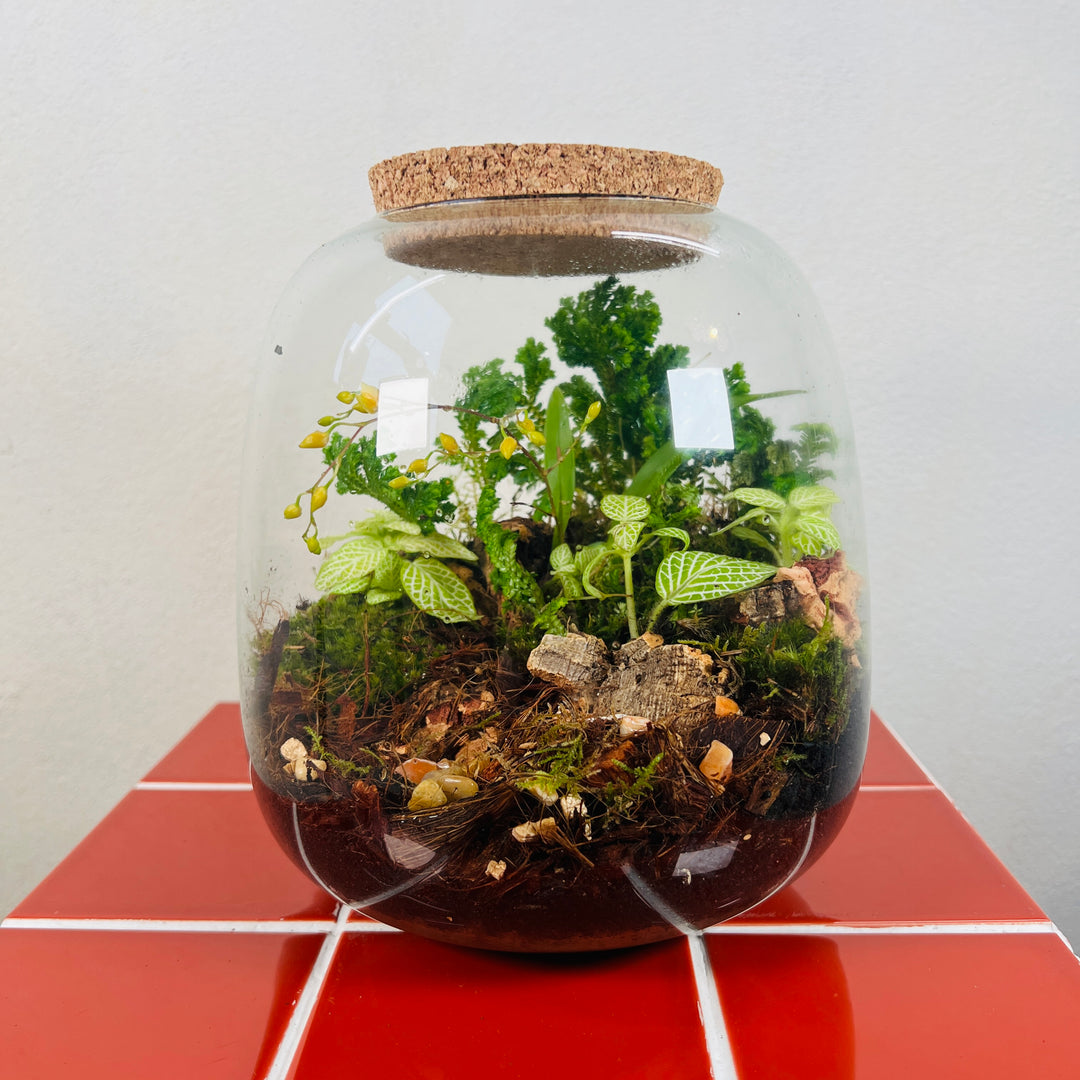 Plant.Studio 'Golden Forest' Terrarium