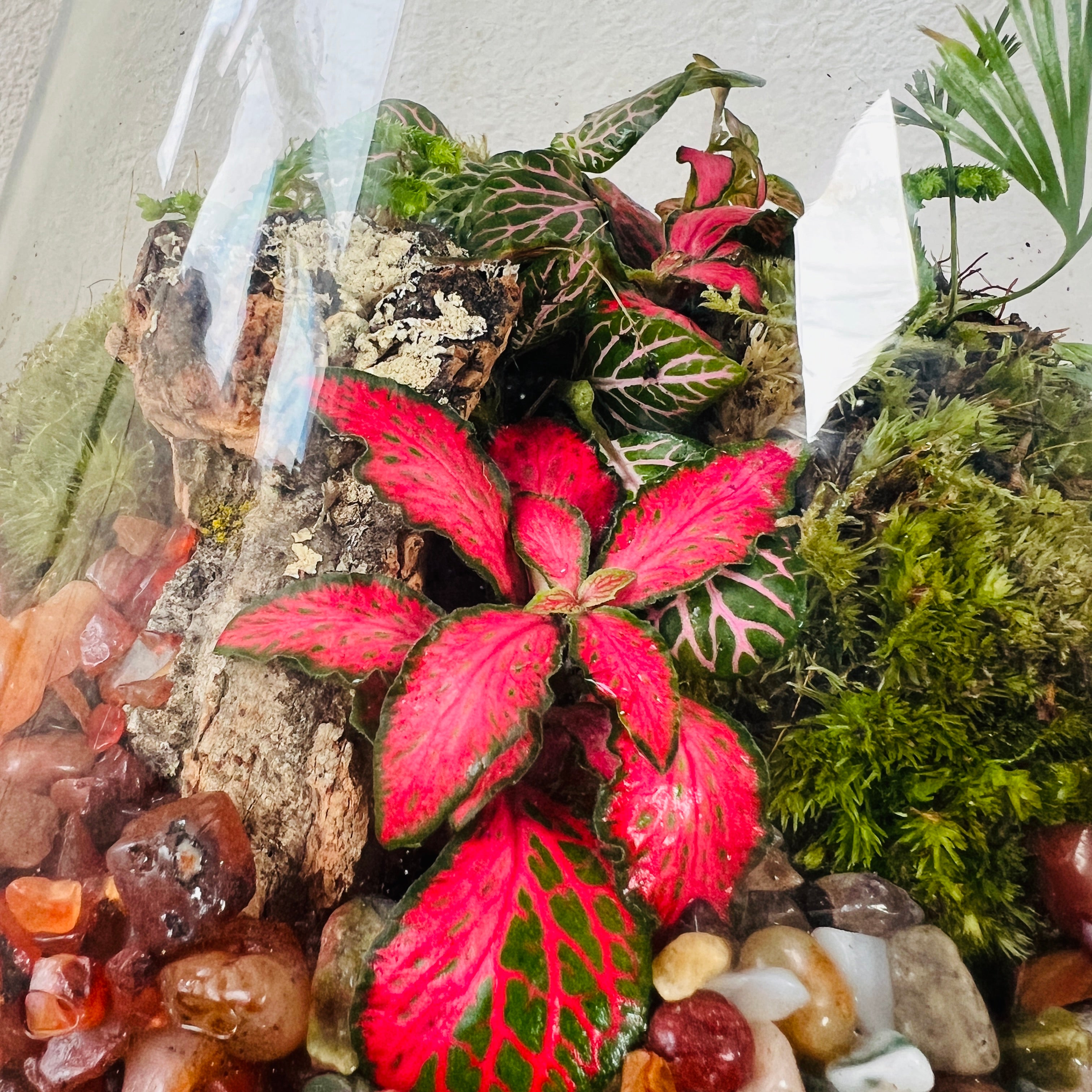 Gifts for Plant Lovers