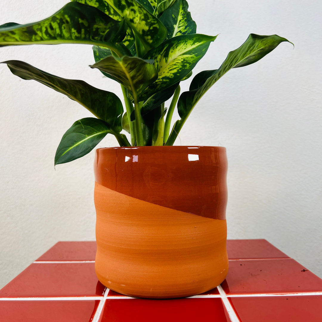 Odin Pot – Glazed Terracotta | D14 × H13 cm